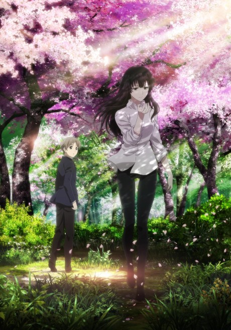 Сакурако (Beautiful Bones -Sakurako's Investigation-)