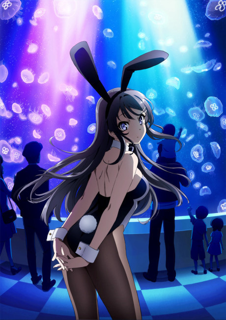 Этот глупый свин не понимает мечту девочки-зайки (Rascal Does Not Dream of Bunny Girl Senpai)